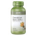 GNC Herbal Plus Dandelion Root 550 mg 蒲公英根 (100顆膠囊) GNC Herbal Plus Dandelion Root 550 mg 蒲公英根 (100顆膠囊)